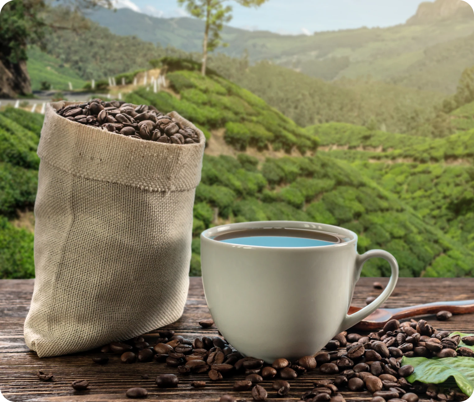 Coffee cup and beans with scenic view
